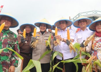 Wakil Bupati Cirebon, H. Agus (Jigus), di dampingi forkopimda, komitmen mendukung program ketahanan pangan nasional yang digagas Presiden Prabowo Subianto. panen raya jagung yang diselenggarakan oleh Polresta Cirebon di Desa Kedondong, Kecamatan Dukupuntang.